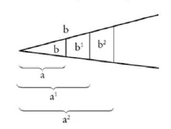 Diagram 7